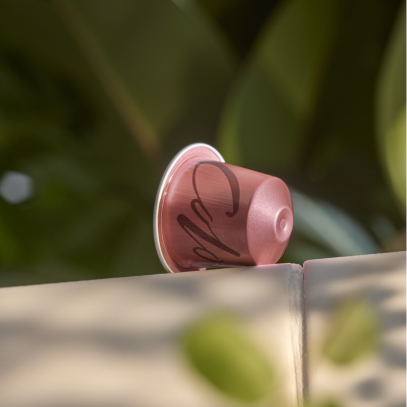 Master Origin 80 kavos kapsulių rinkinys