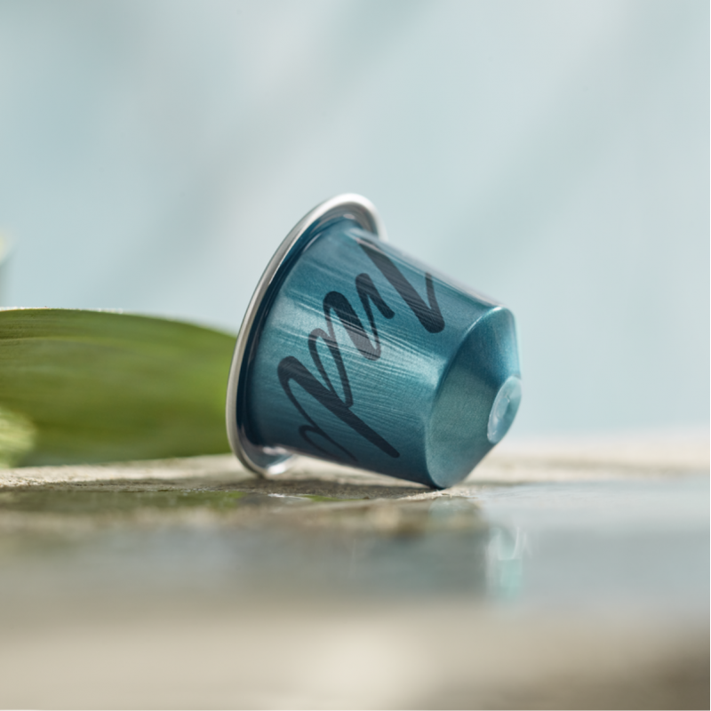 Master Origin 80 kavos kapsulių rinkinys