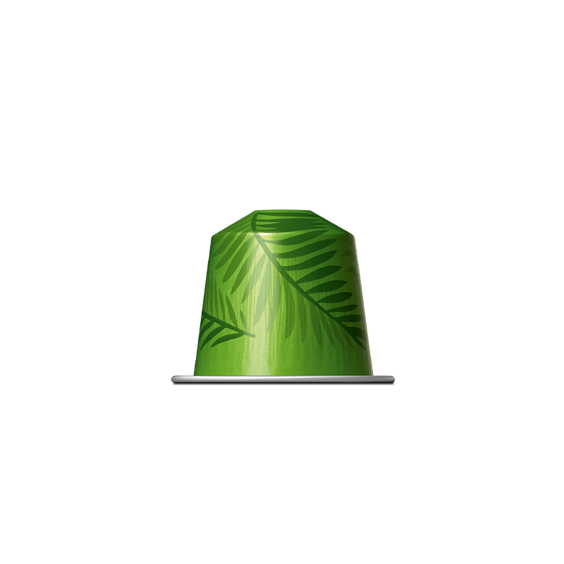 Kohvikapslid Nespresso Rio De Janeiro Espresso Kohvikapslid Nespresso Rio De Janeiro Espresso