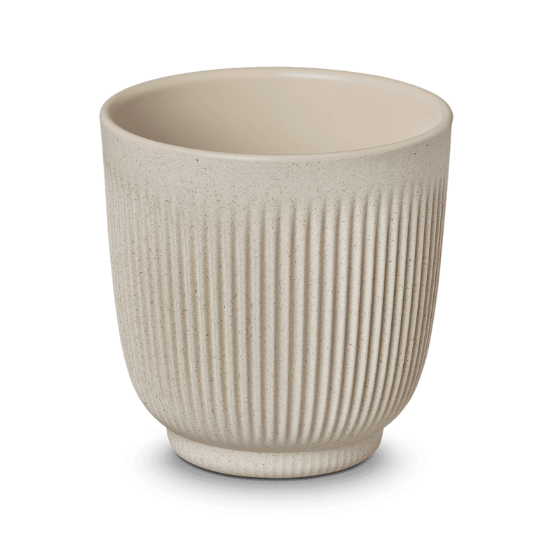 Tassid NUDE Lungo