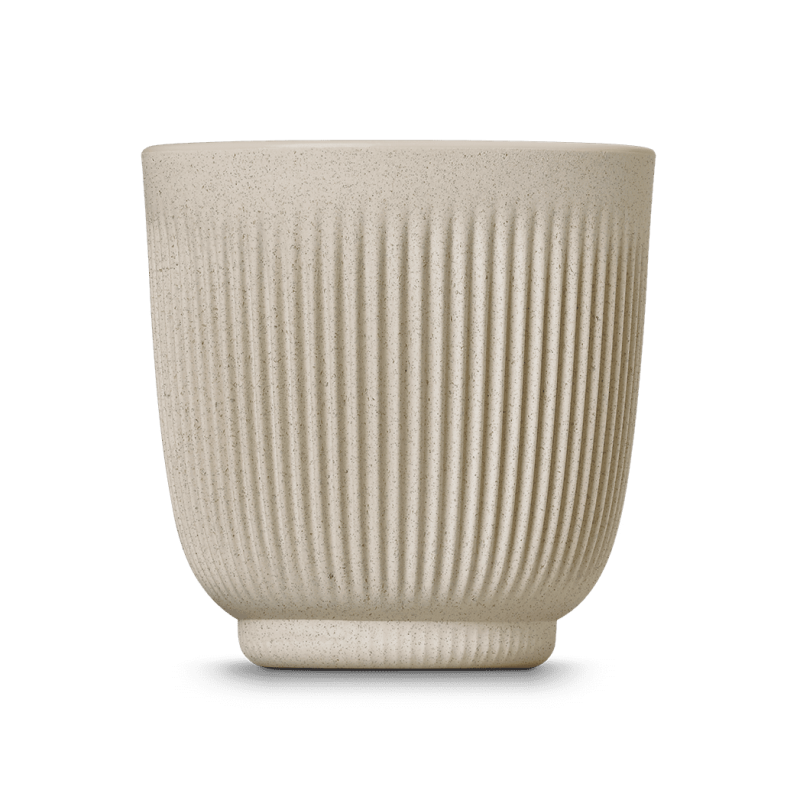 Tassid NUDE Lungo
